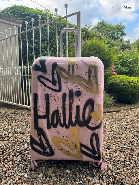Hand luggage suitcase 🩷